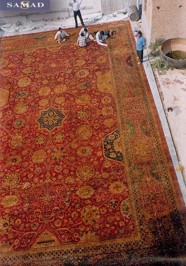 Gigantic Carpet