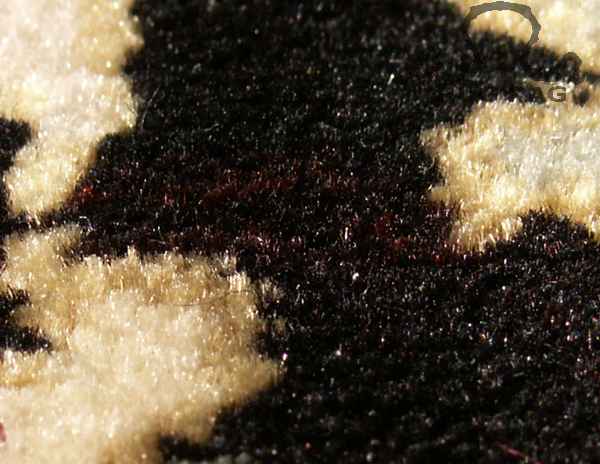 Black Dye Revealed as strongly saturated Red