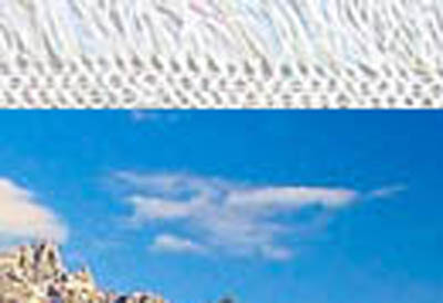 Photograph with Added Fringe