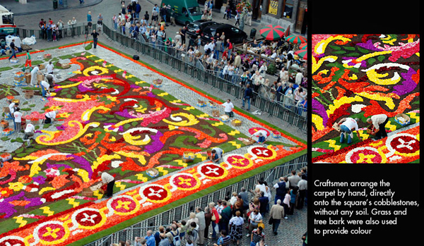 Constructing the Brussels Flowercarpet Constructing the Brussels Flowercarpet