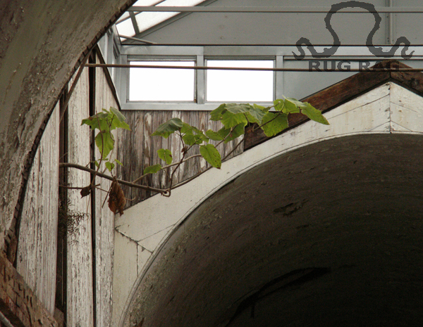 Sapling in ESP