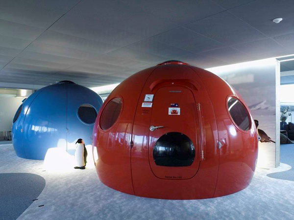 Google Igloos