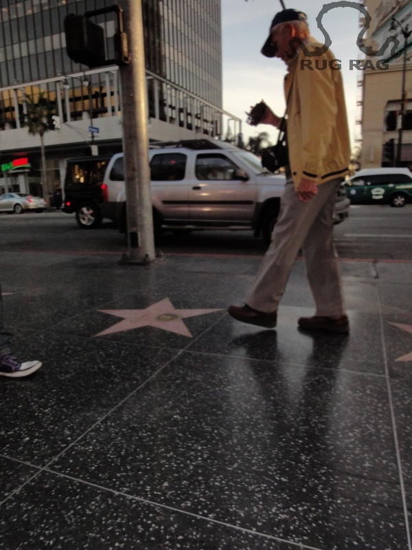 Hollywod Stars