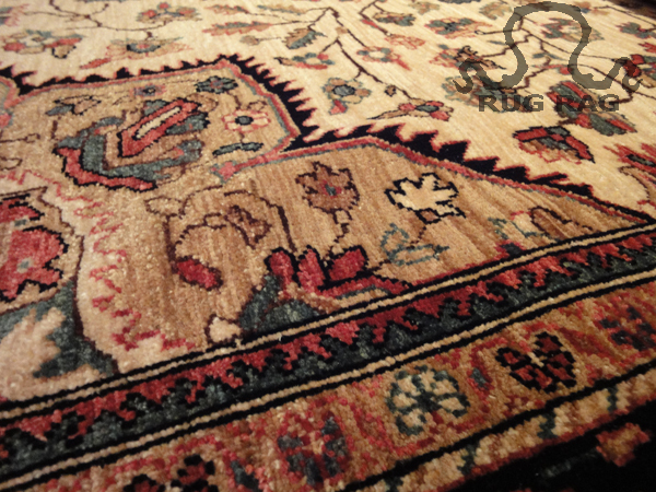 Faraghan Sarouk Design in Ivory
