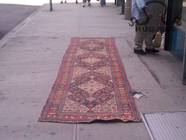 Senneh Runner