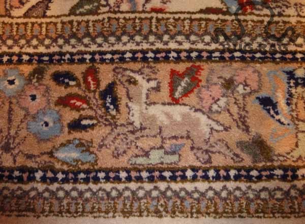 Deer animal in Tabriz