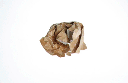 Unfolding The Wood Rug