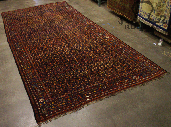 Angle Shot of Palace Size Shiraz Carpet